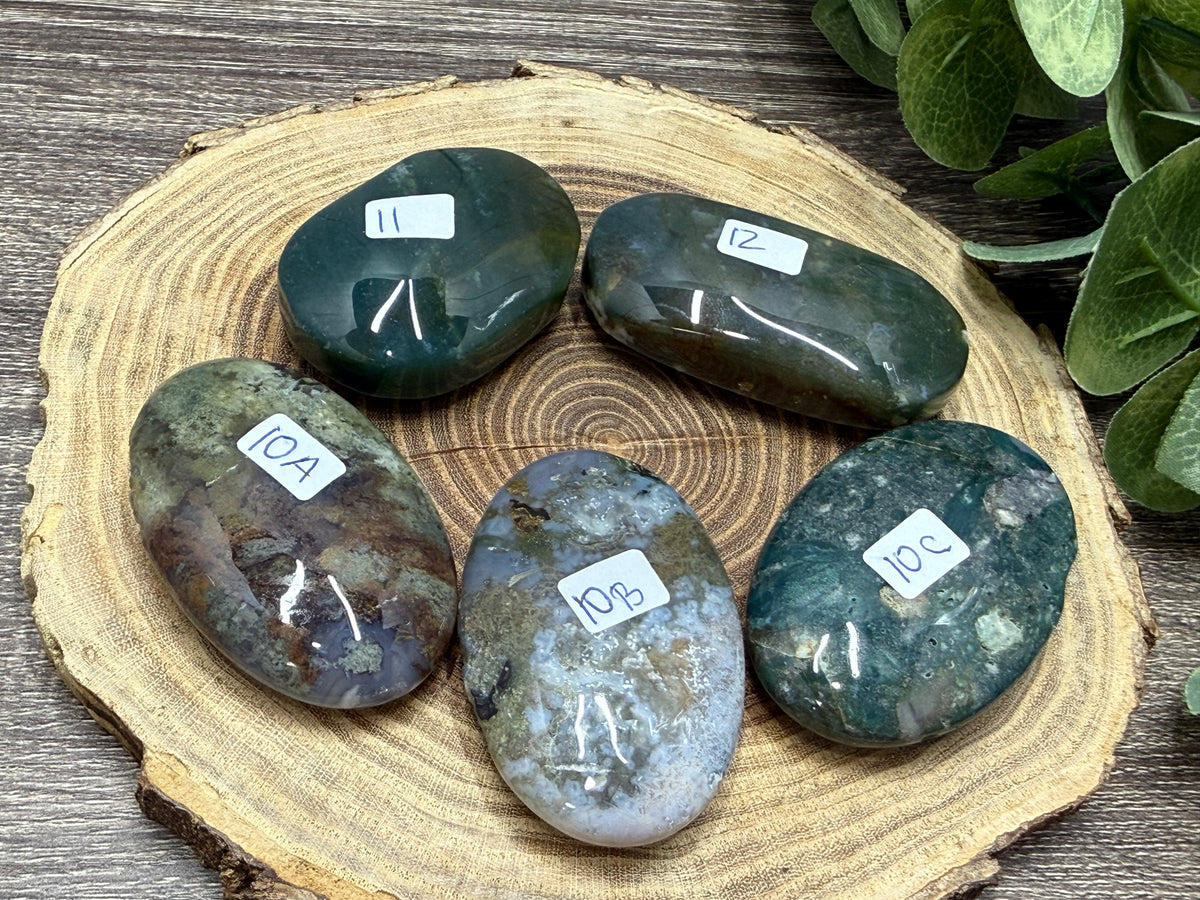 Moss Agate Palm Stones