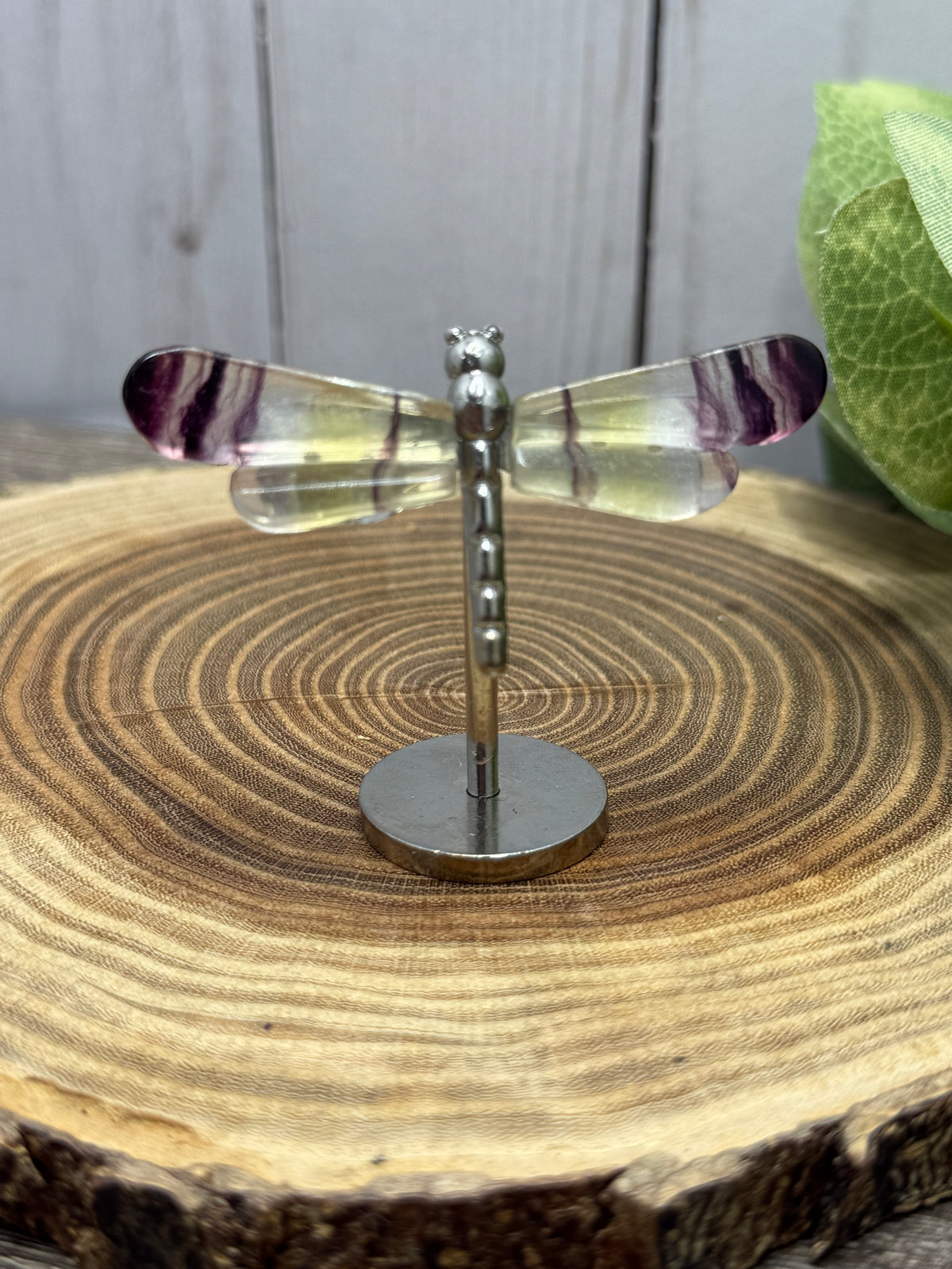 Small Dragonfly Wings on Stand - Fluorite