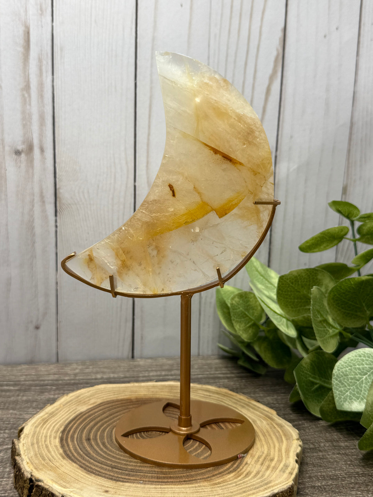 Golden Healer Moons on Stands