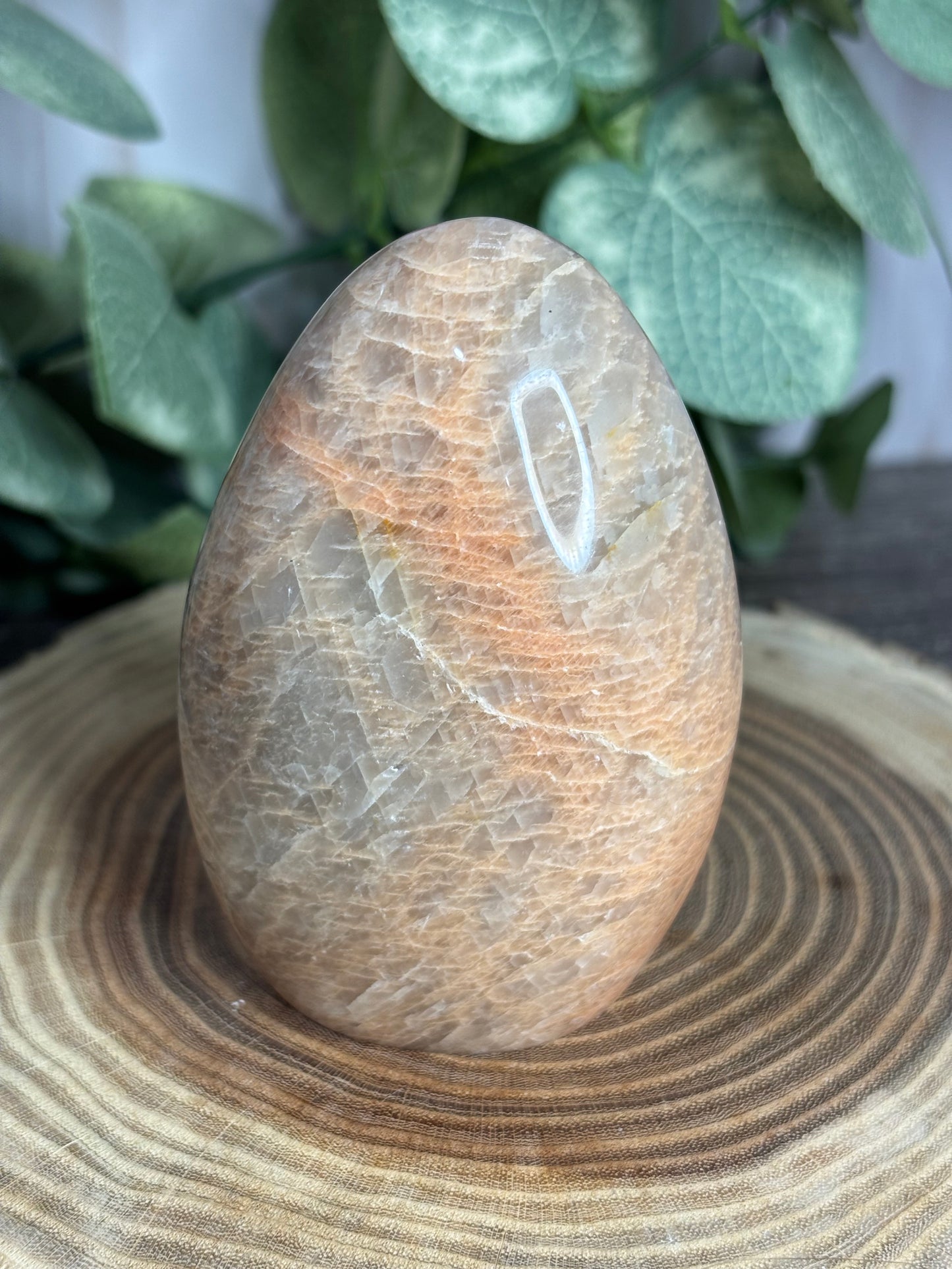 Peach Moonstone - Free Form