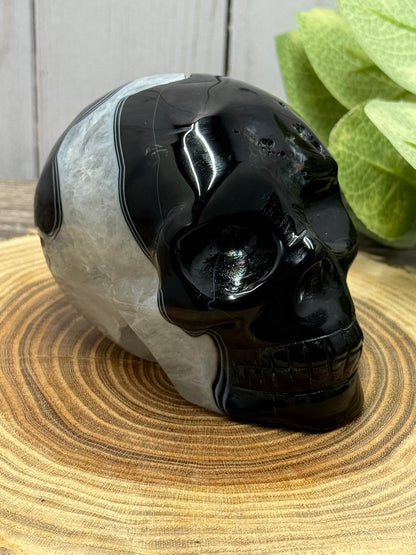 Black Agate Skulls