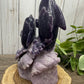 Dolphin Carving