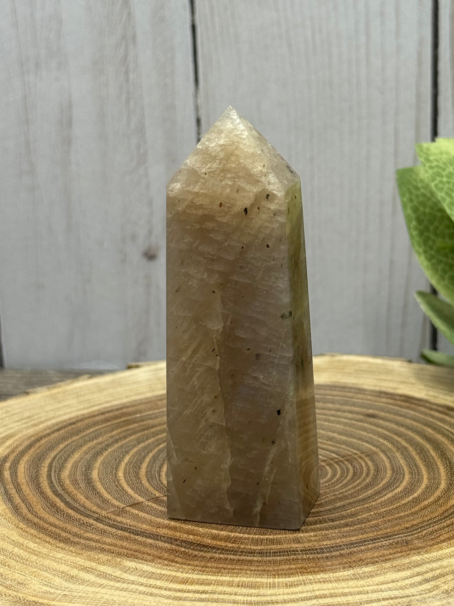 Grey Moonstone Towers