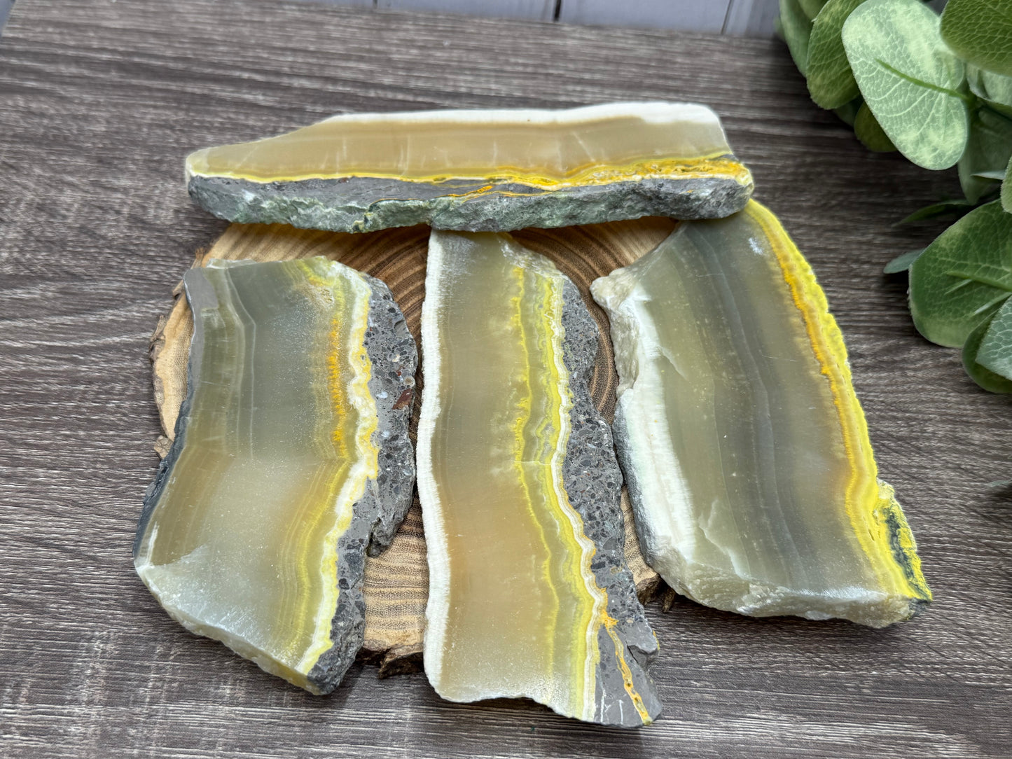 Bumblebee Jasper Slabs
