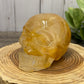 Large Golden Healer Skull