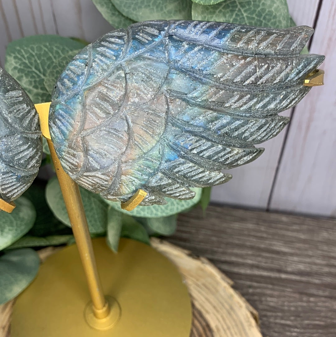 Labradorite Wings Lg