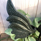 Dragon Wings on Stand - Black Obsidian Large