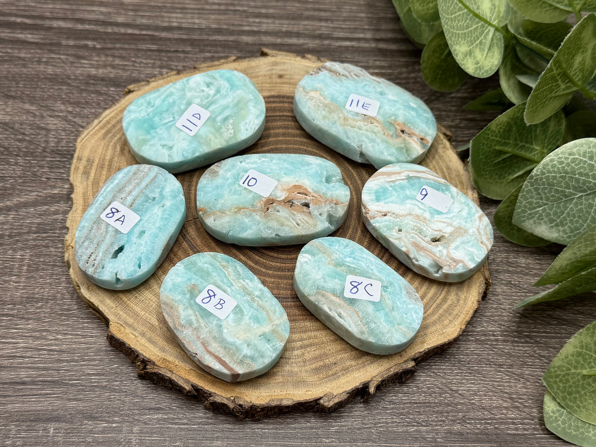 Caribbean Calcite Palm Stones