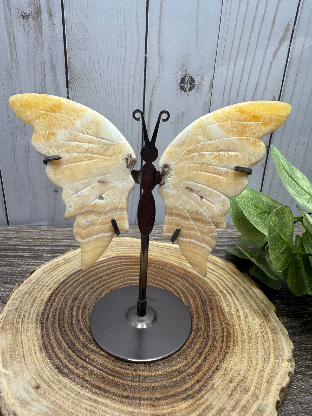 Butterfly Wings on Stand - Orange Calcite