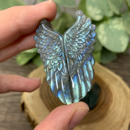 Labradorite Carved Wings