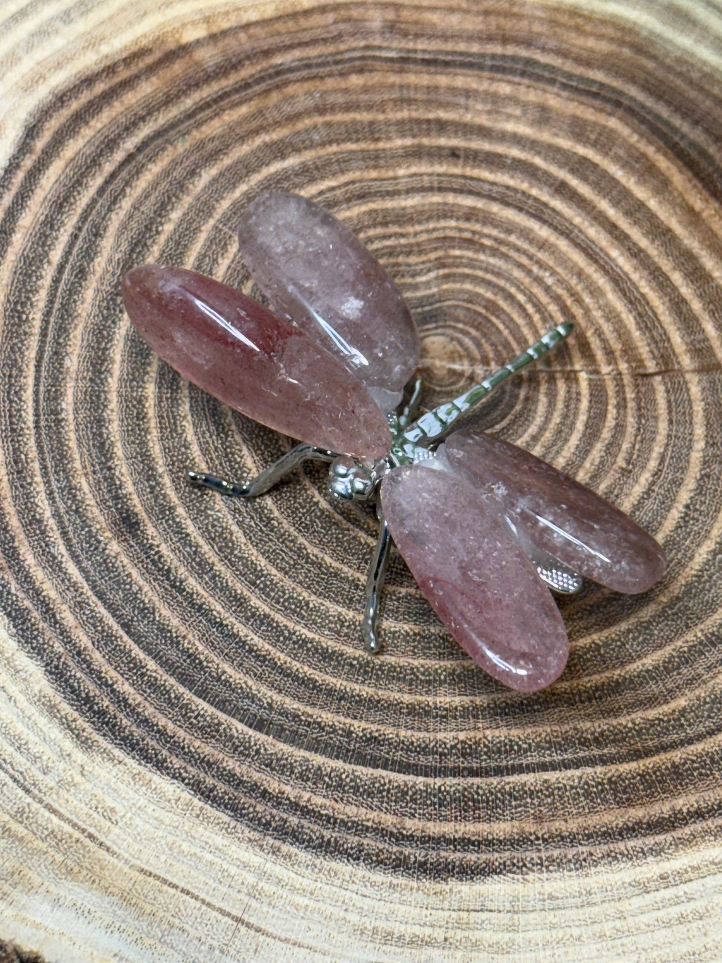 Dragonflies