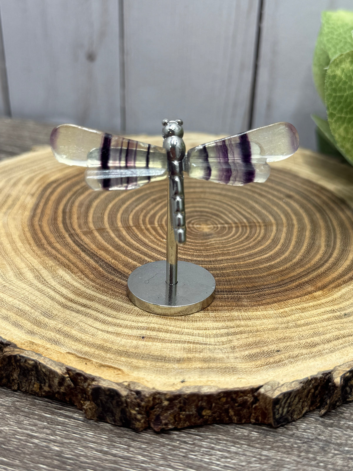 Small Dragonfly Wings on Stand - Fluorite