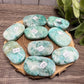 Phoenix Stone Palm Stones