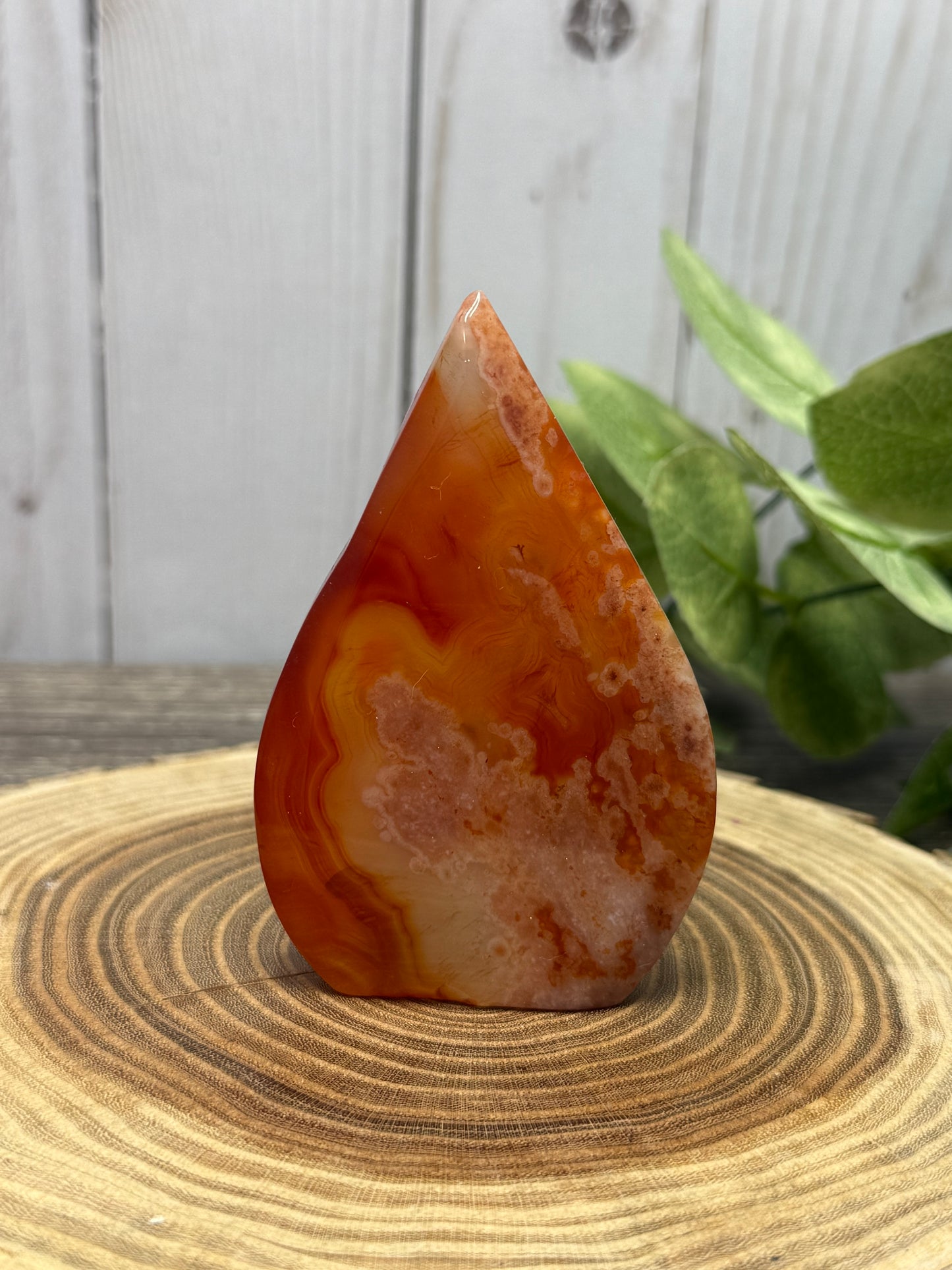 Carnelian and Flower Agate Freeforms