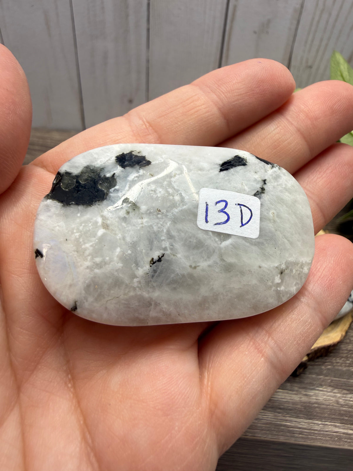 Rainbow Moonstone Palm Stone