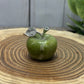 Apple Carvings