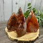 Carnelian and Flower Agate Freeforms