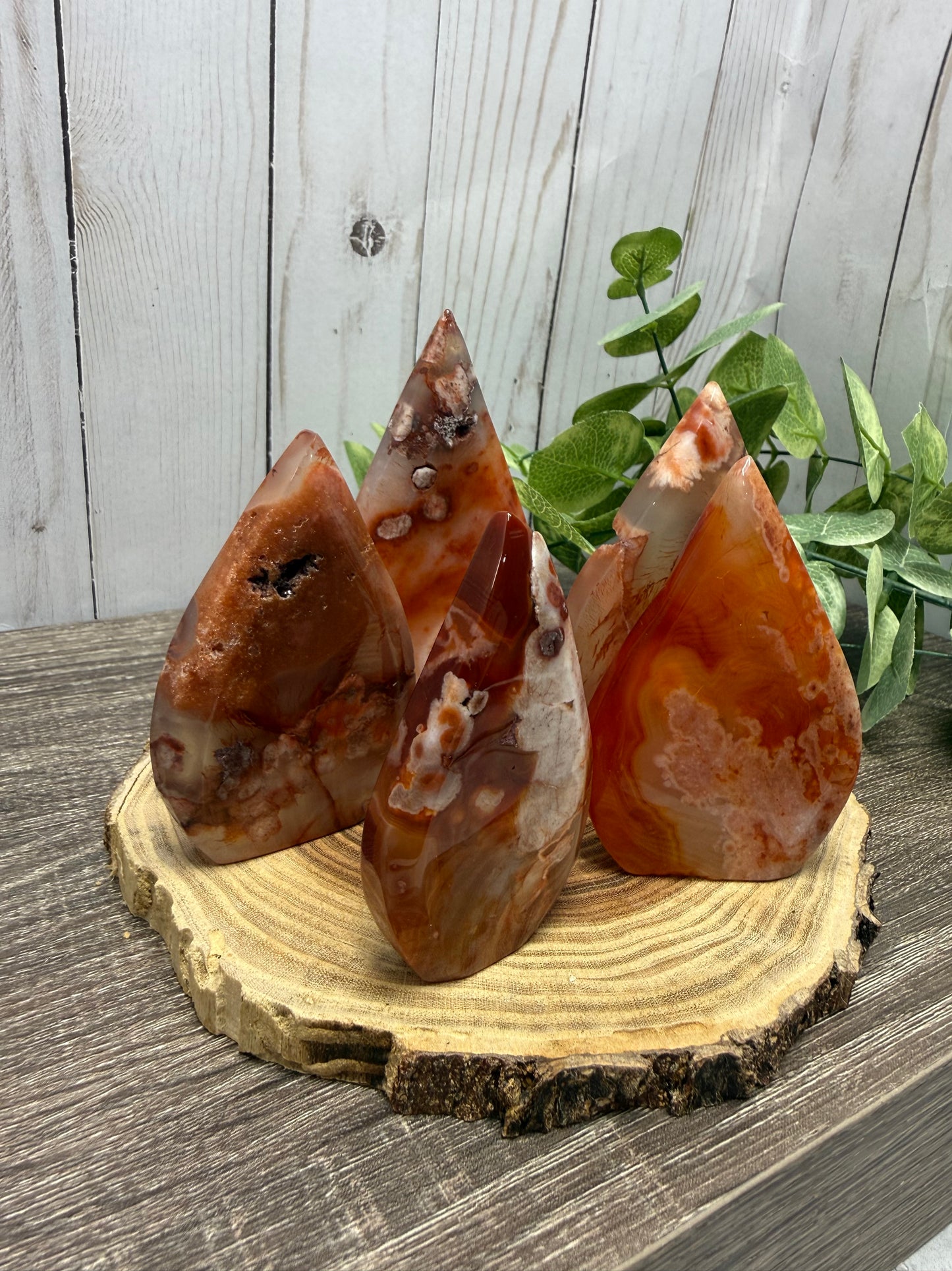 Carnelian and Flower Agate Freeforms