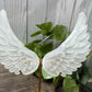 Small Selenite Wings with Stand