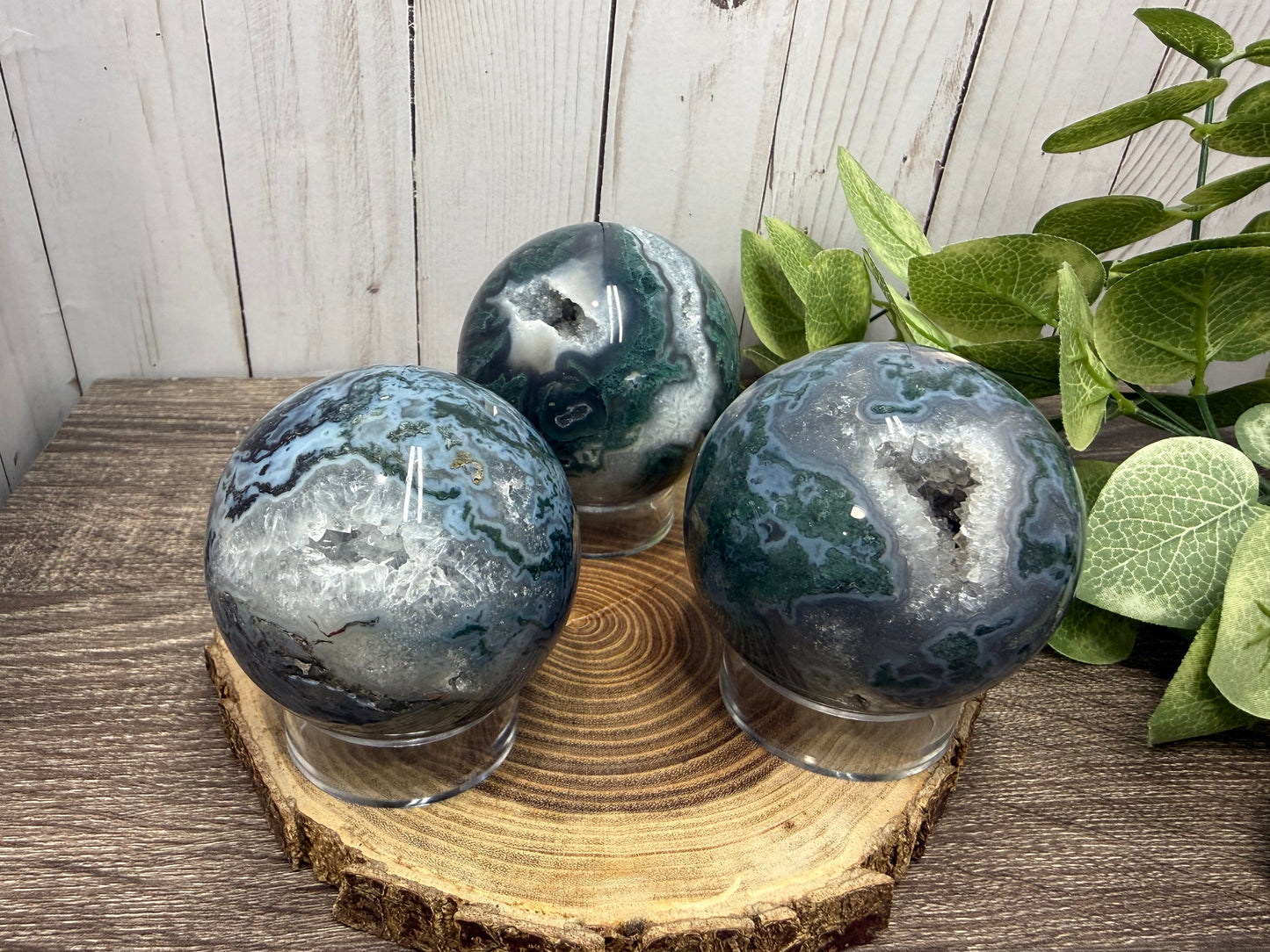 Moss Agate Spheres - Druzy