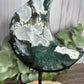 Moss Agate Moon on Stand