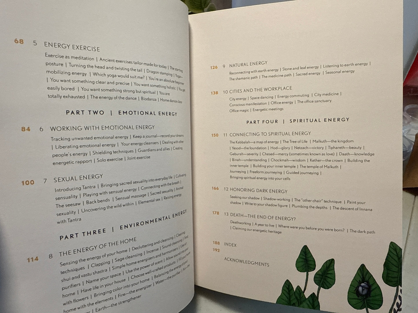 Misfit: The Energy Secret: Practices and Rituals to unlock your potential for healing and happiness