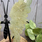 Large Butterfly Wings on Stand - Prenite
