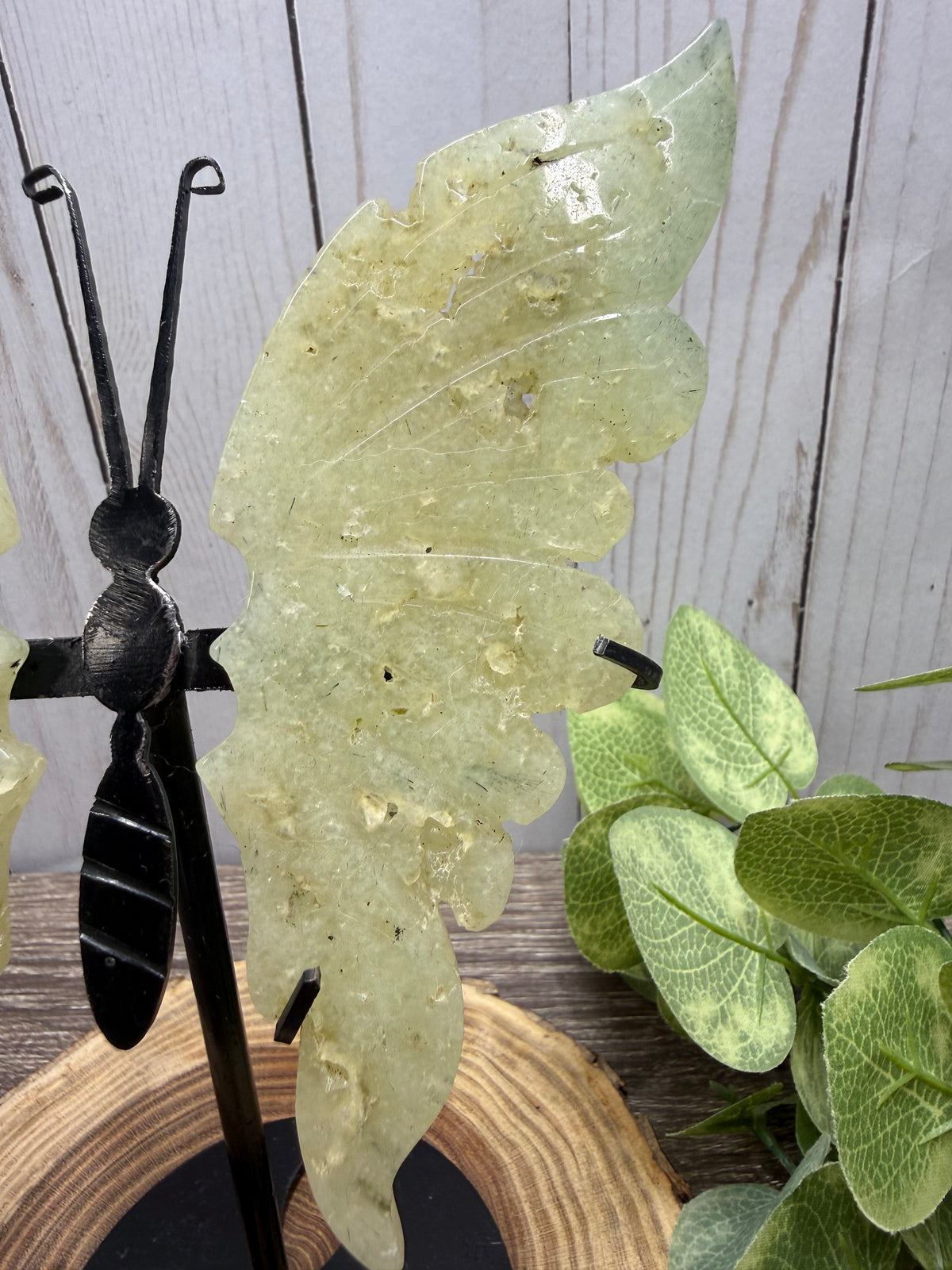 Large Butterfly Wings on Stand - Prenite