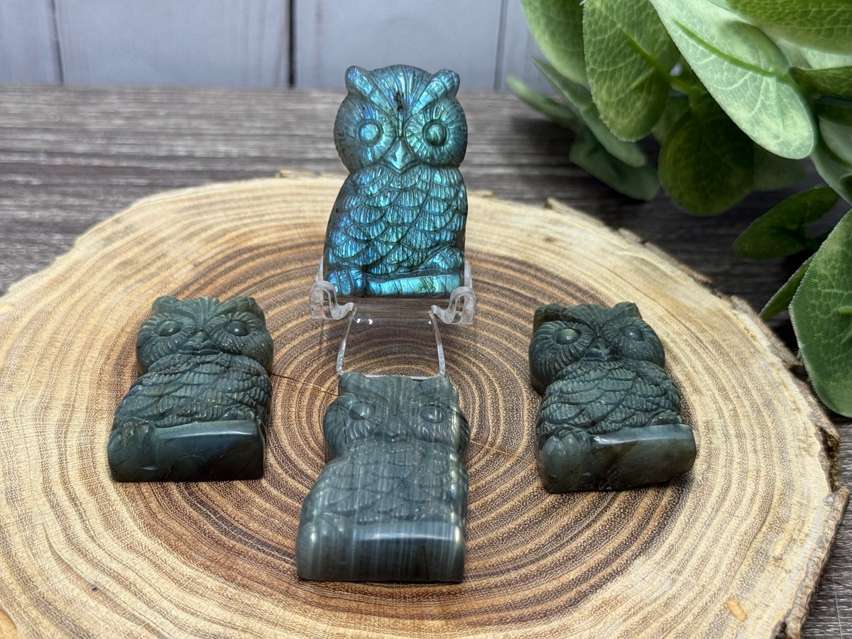 Owl - Labradorite Carvings