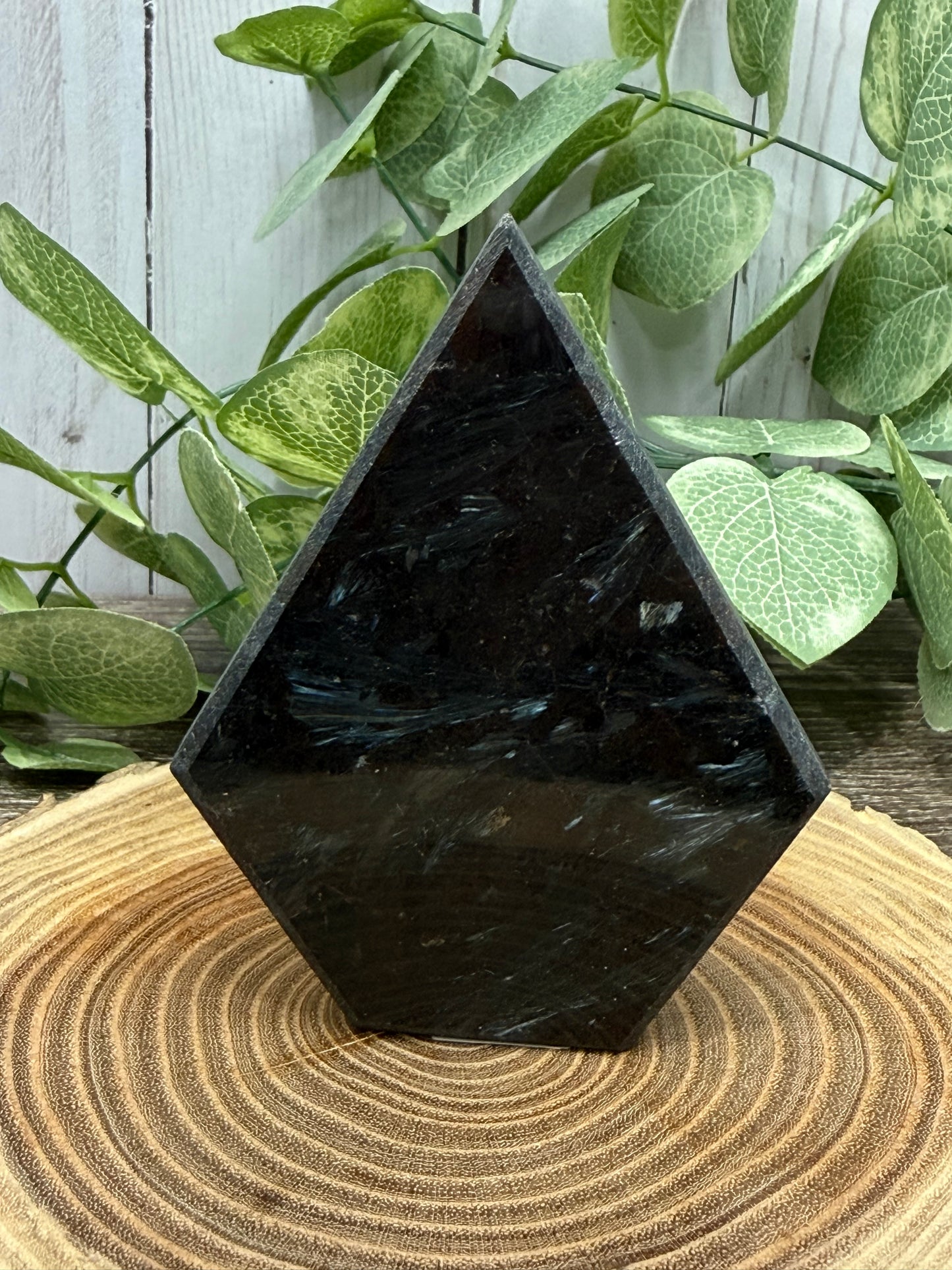 Garnet and Astrophyllite Freeform