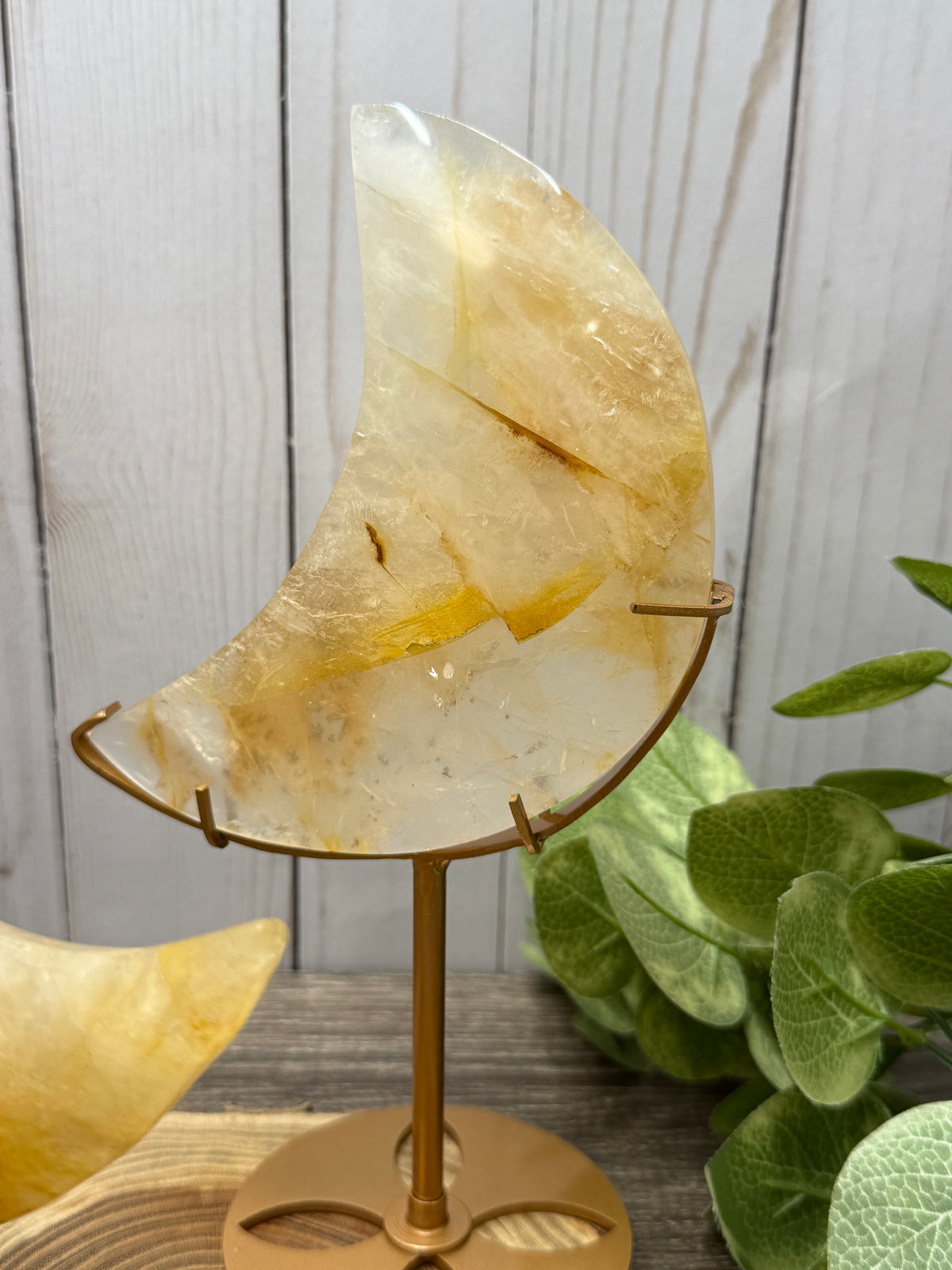 Golden Healer Moons on Stands