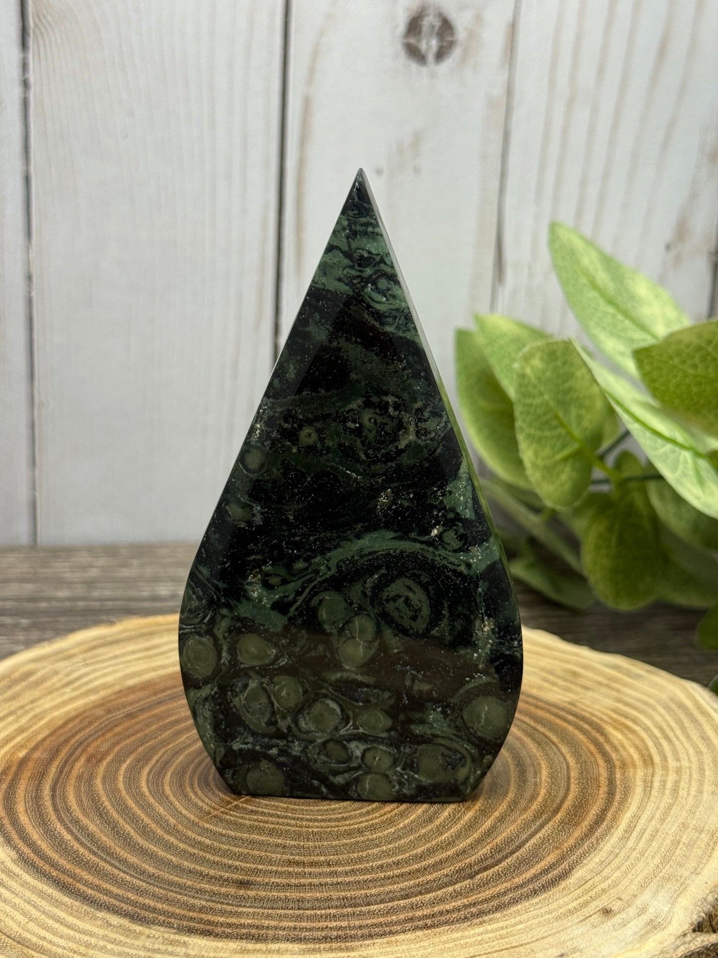 Kambaba Jasper Freeforms