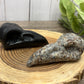 Obsidian & Yooperlite Bird Skulls/Head Carvings