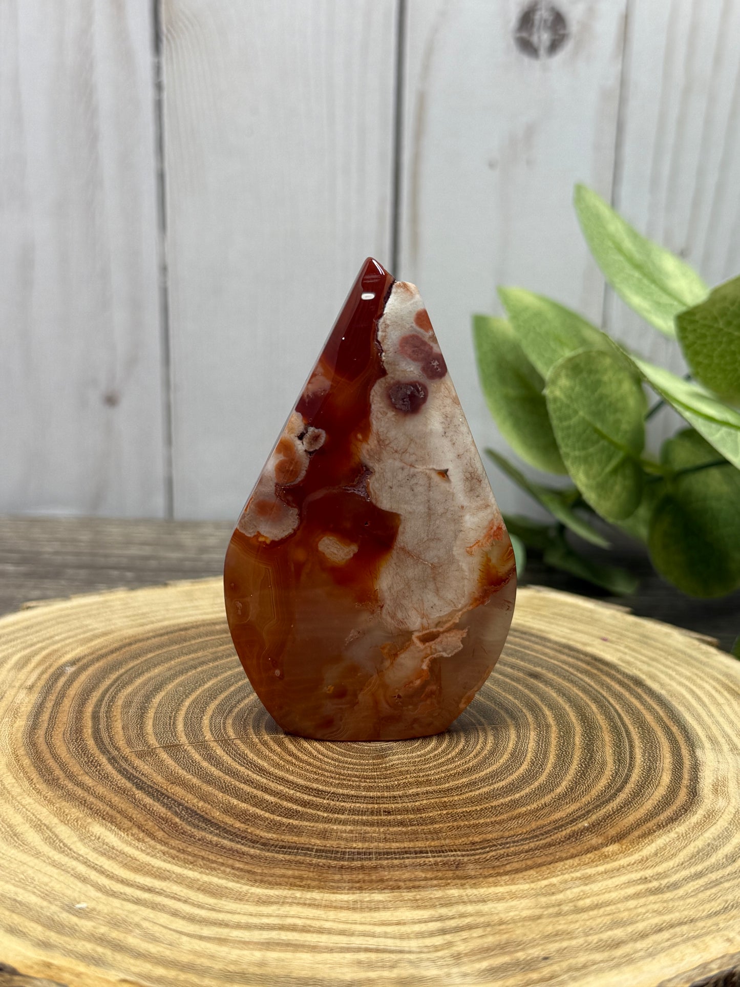 Carnelian and Flower Agate Freeforms