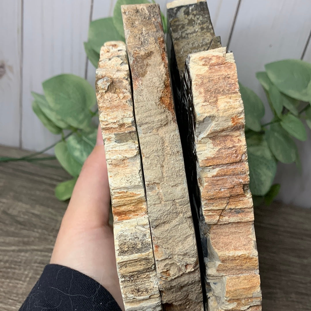 Petrified Wood Slabs