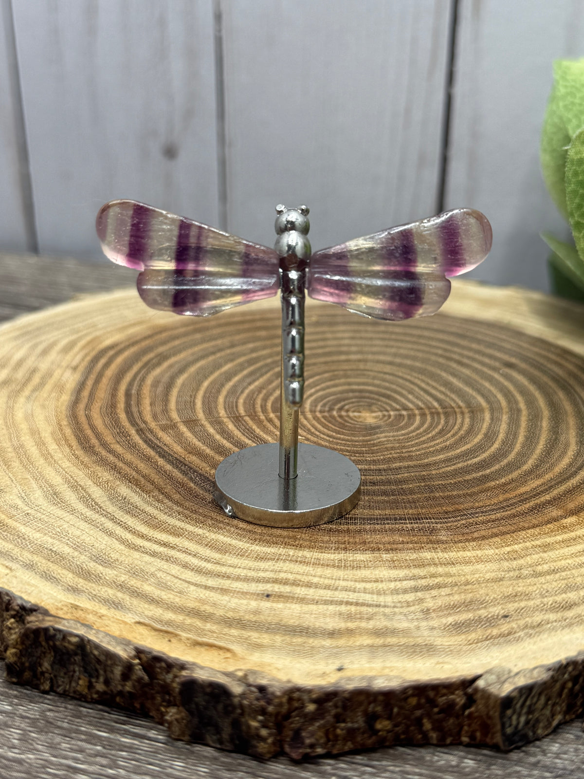 Small Dragonfly Wings on Stand - Fluorite