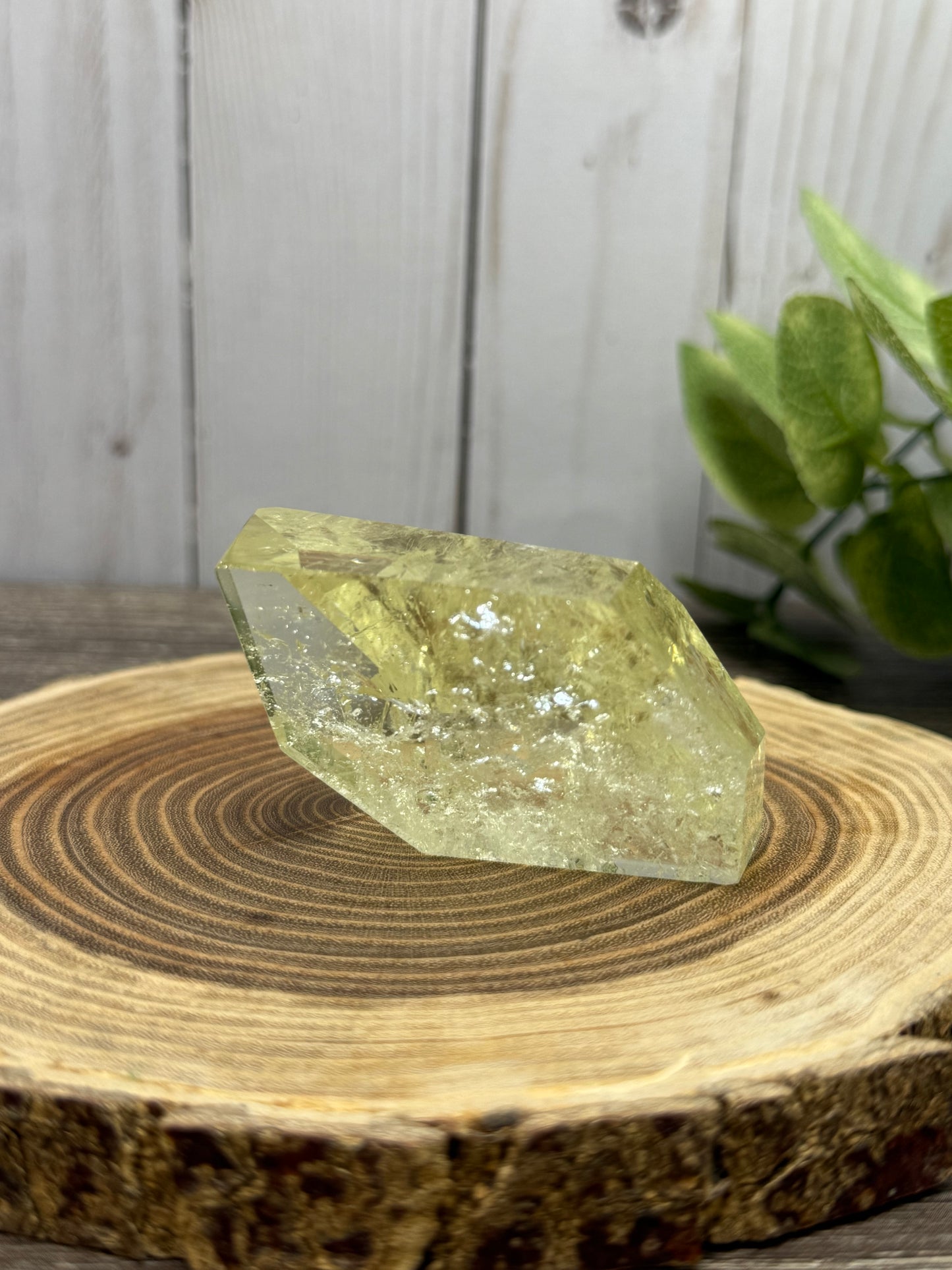 Citrine Freeforms - Rainbow Filled