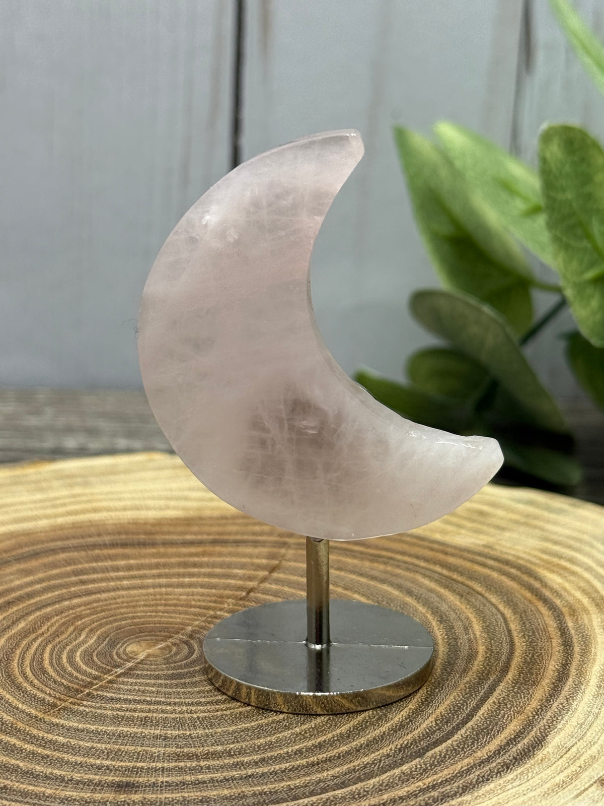 Small Moons on Stands