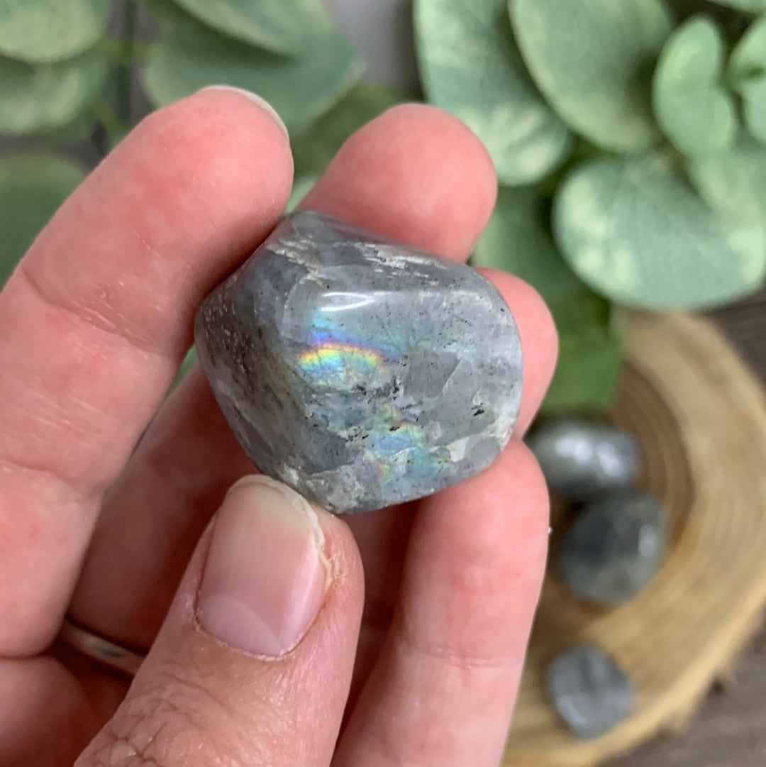 Labradorite Tumbles