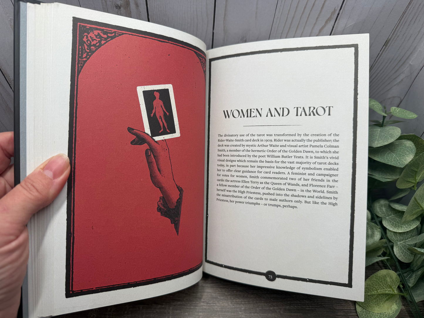The Museum of Witchcraft: Objects, Practices, Symbols: A Guided Tour of the Occult
