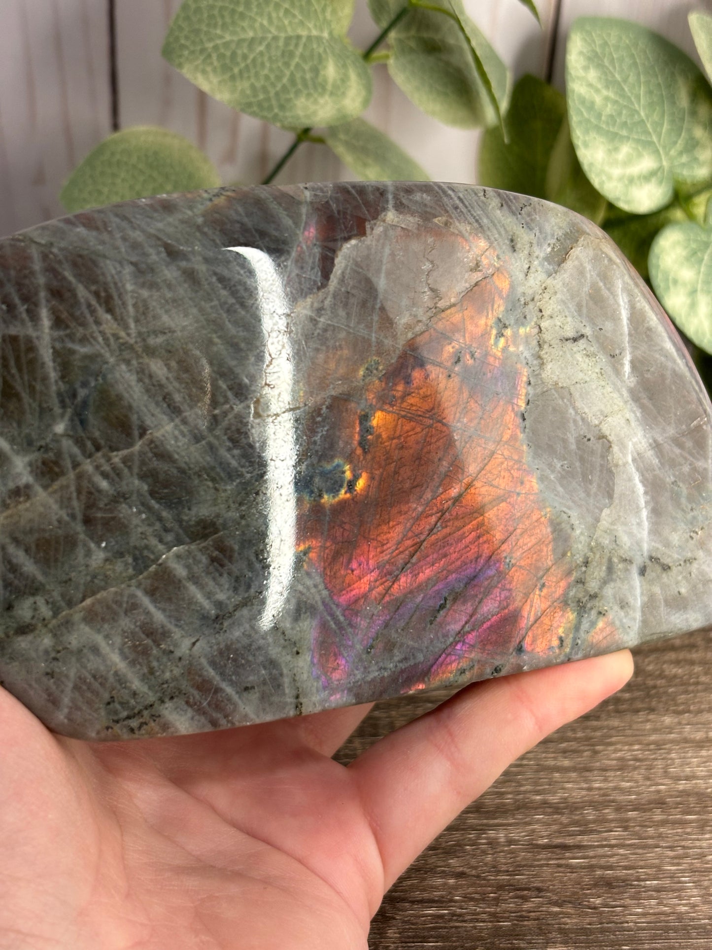 Labradorite Free Forms