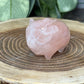Pig with Mohawk Sunglasses - Rose Quartz