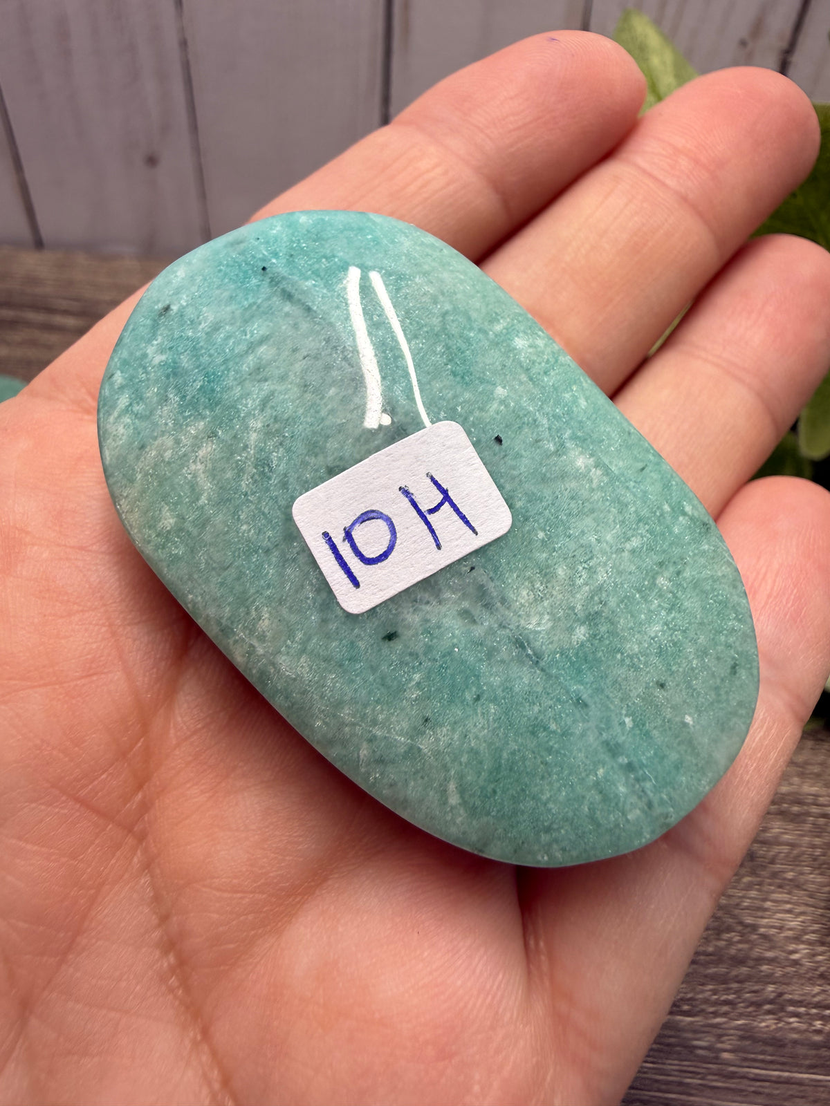 Amazonite Palm Stones