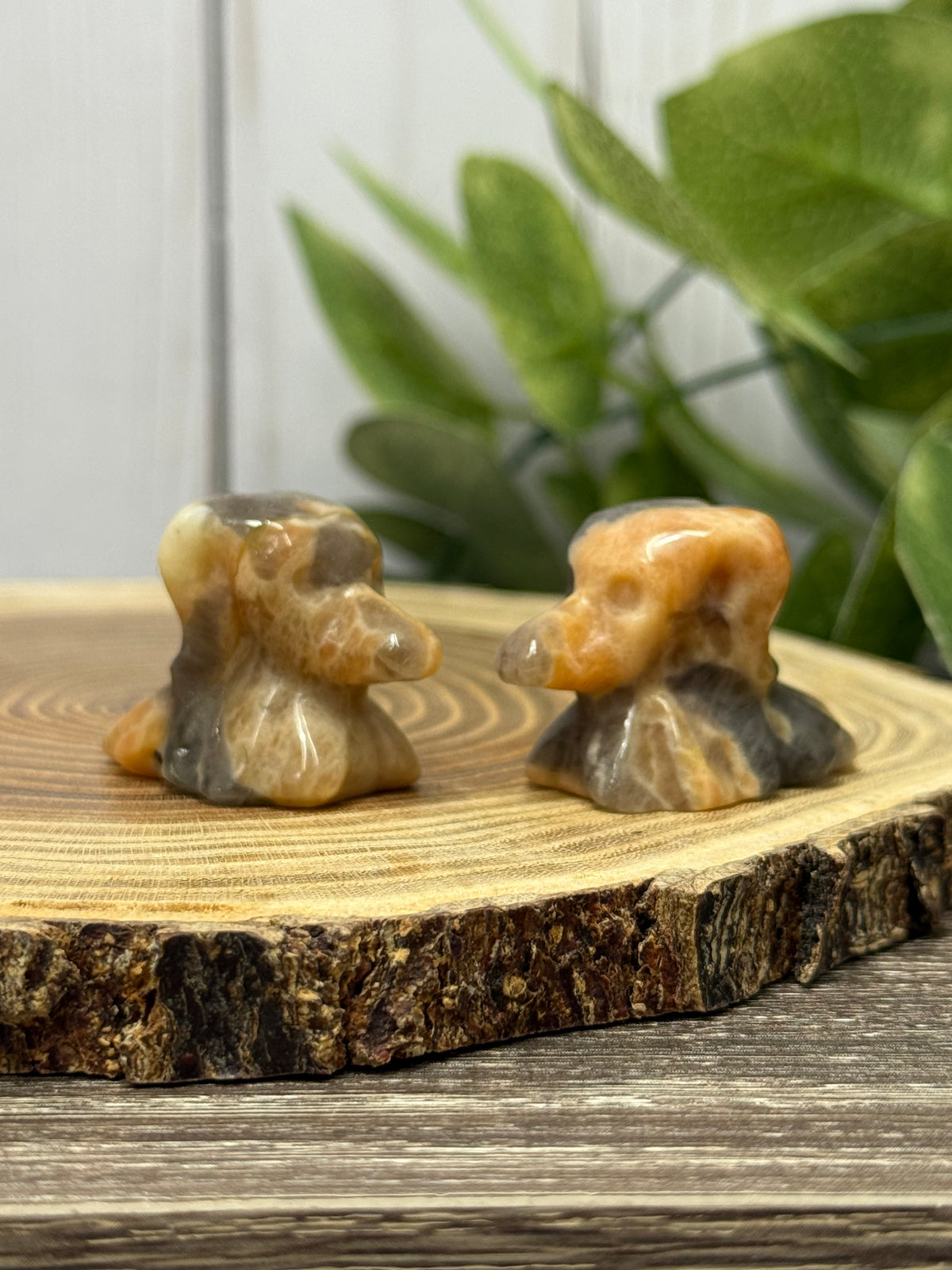 Zero Dog Carvings