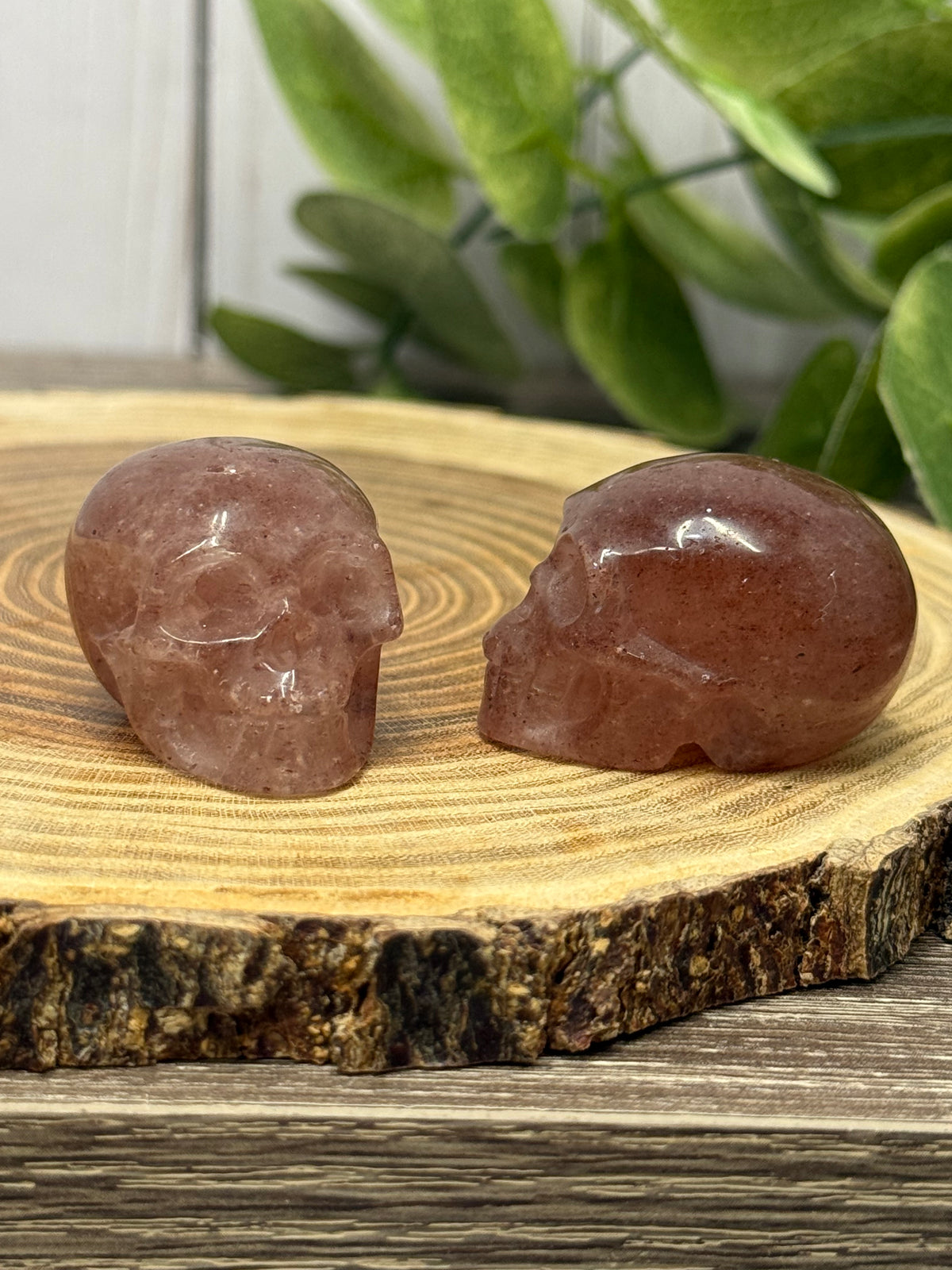Skull Carvings - small