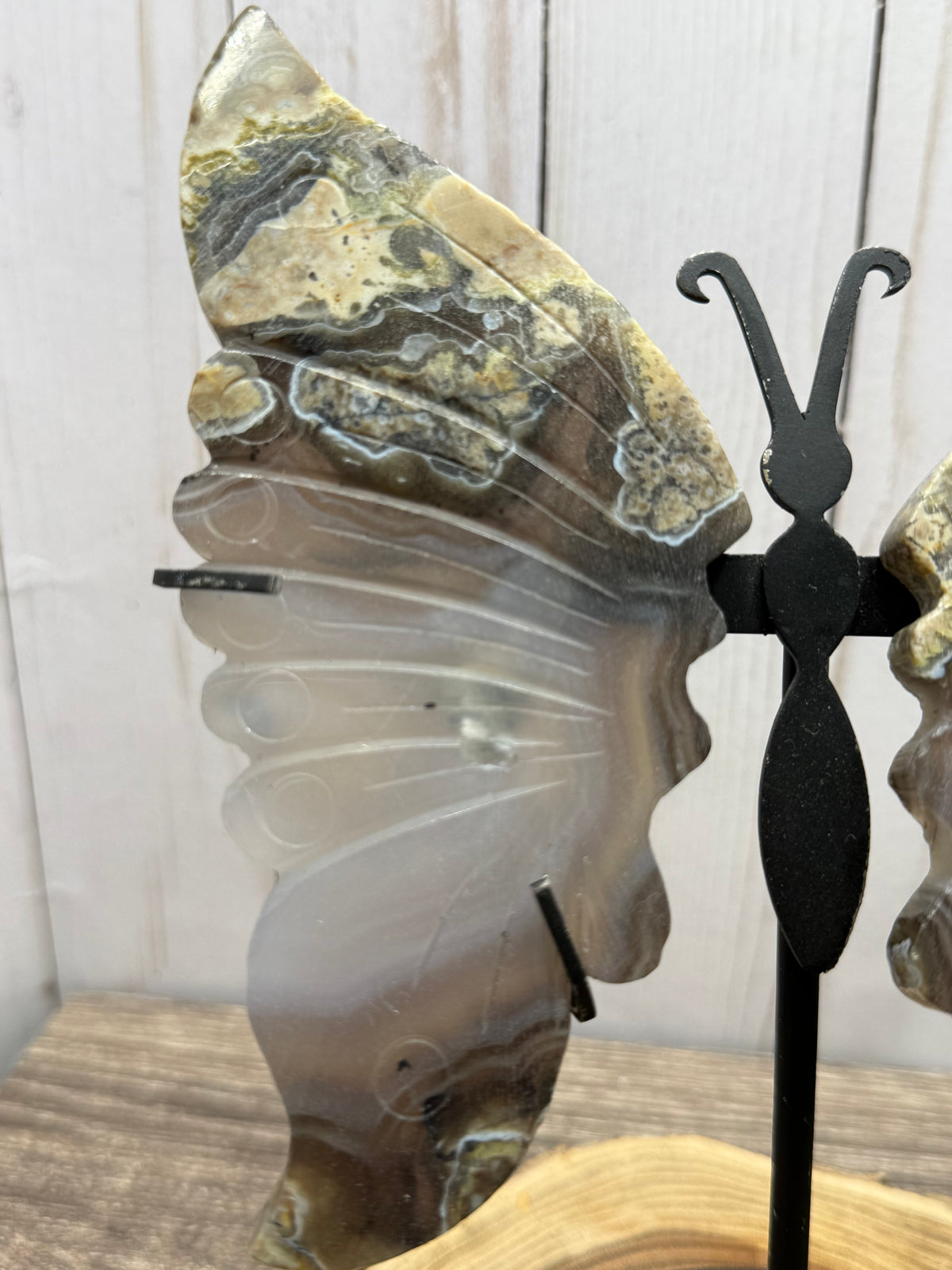 Large Butterfly Wings on Stand - Lava Agate