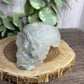 Moss Agate Skull