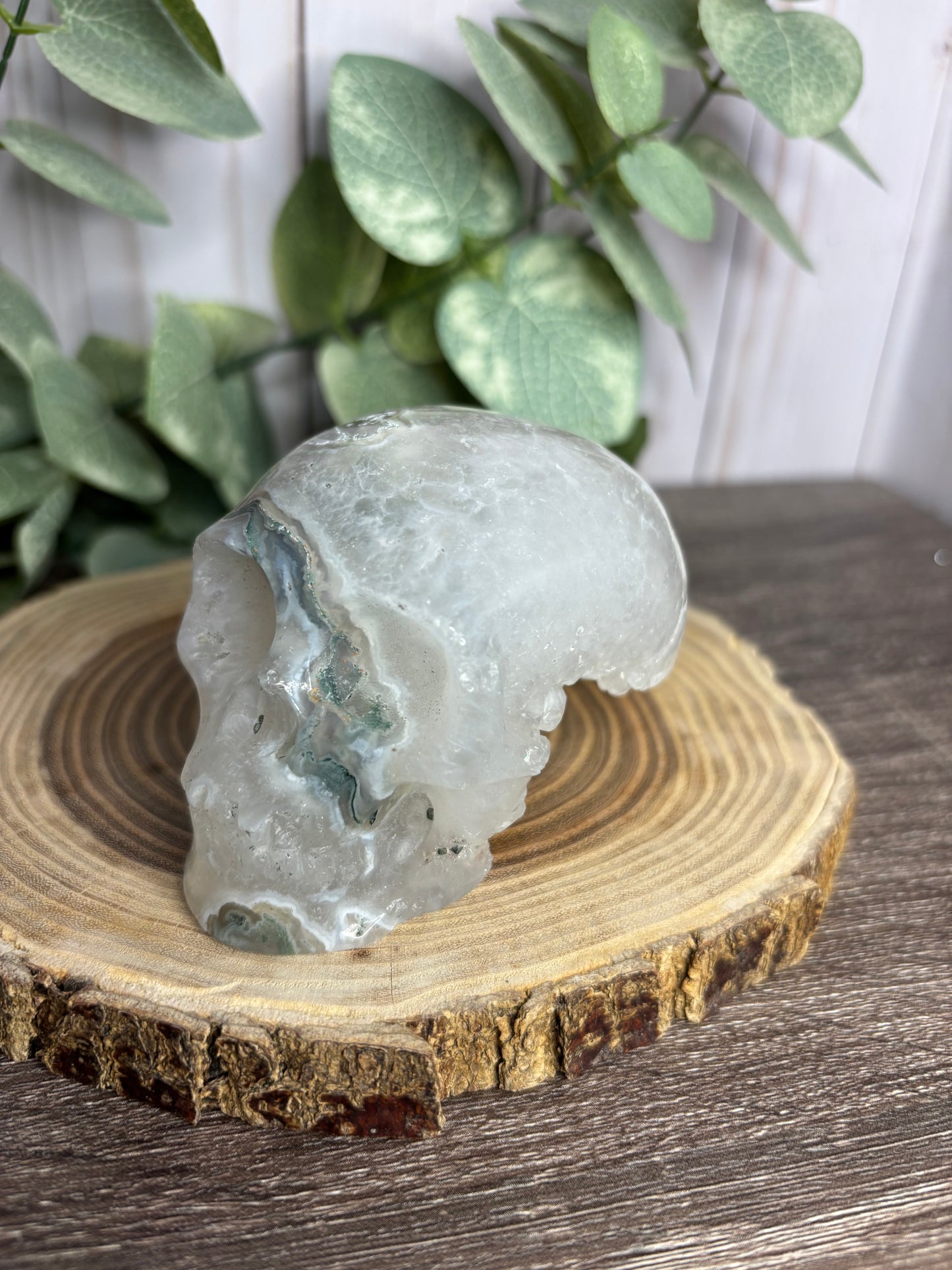 Moss Agate Skull