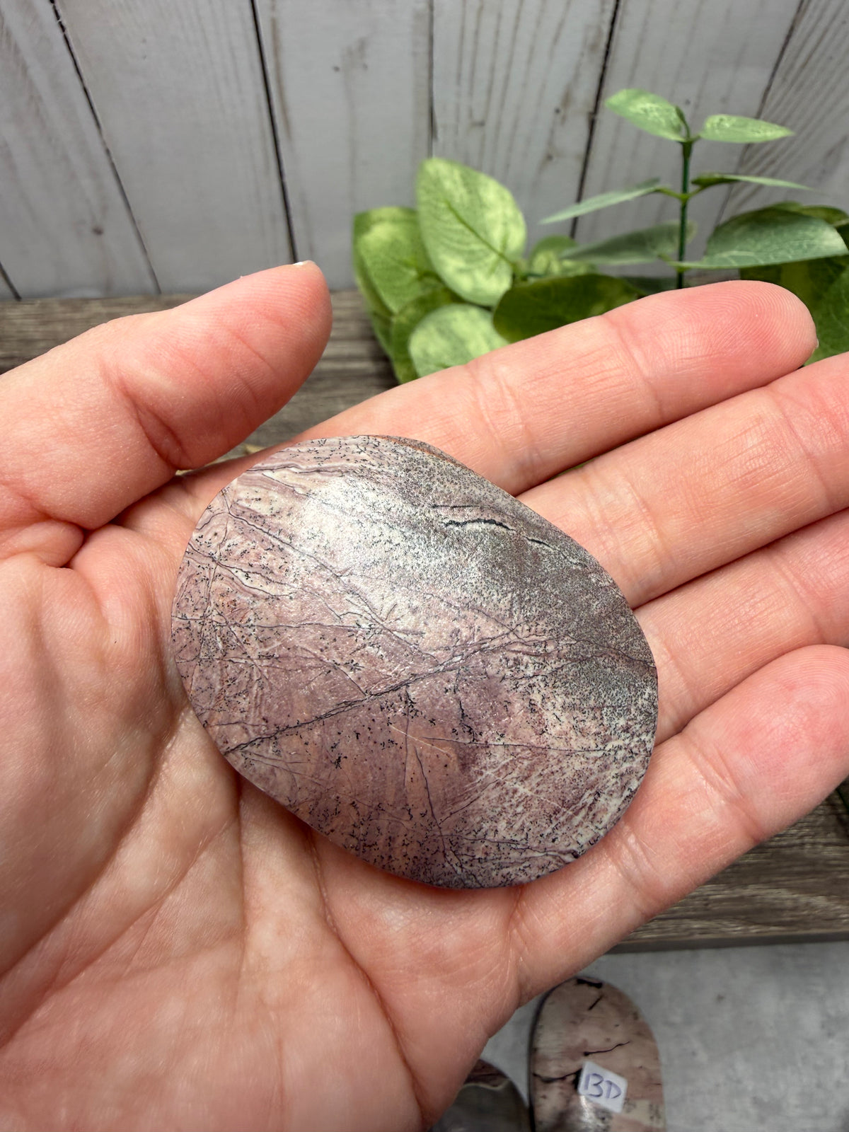 Picture Jasper Palm Stones