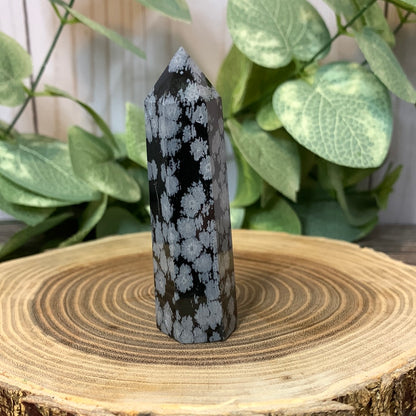 Snowflake Obsidian Towers